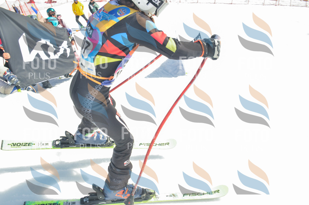 _ELE5859 | holidayphoto