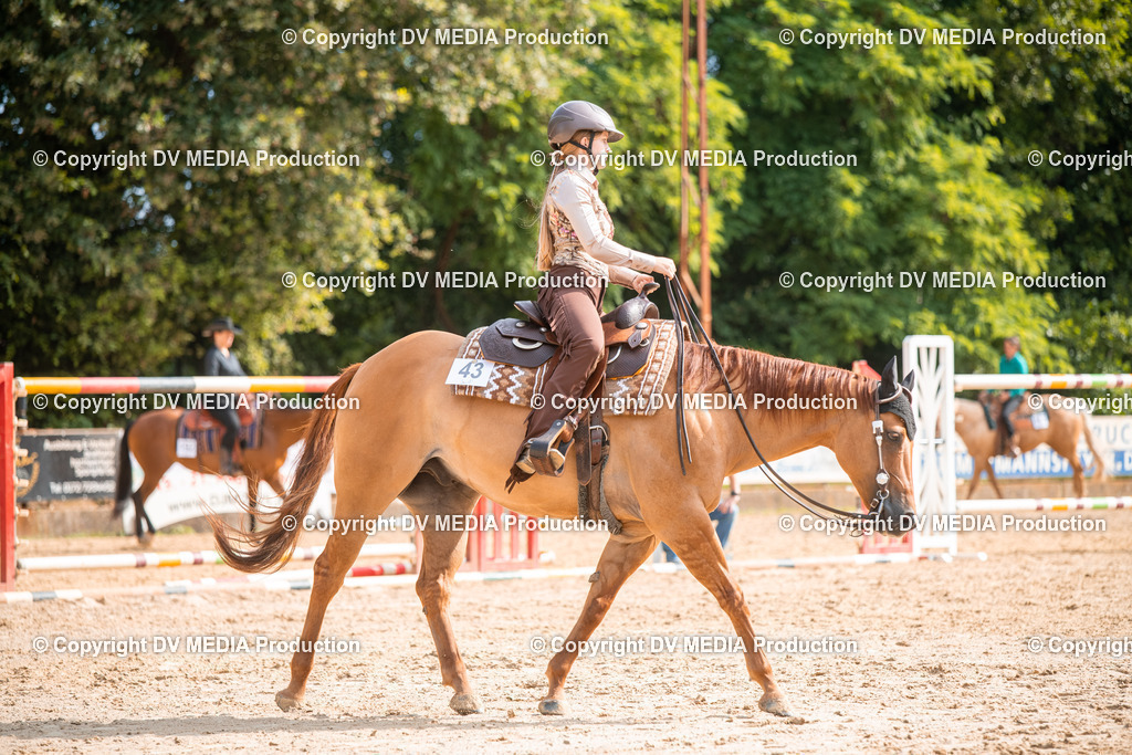 ZS2_7541 | dv-media-shop - Realisiert mit Pictrs.com