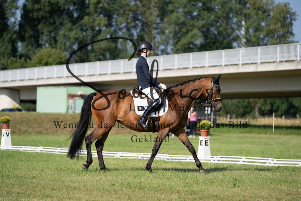 A7V09336 | Pferdefotograf