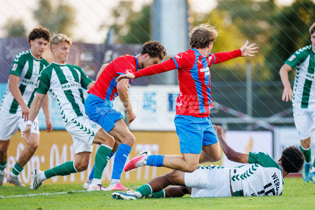 20260826_Picselweb-Fotografie_1R1_0469 | Dein Fotograf aus dem Landkreis Stade für Sport und Events - Realisiert mit Pictrs.com