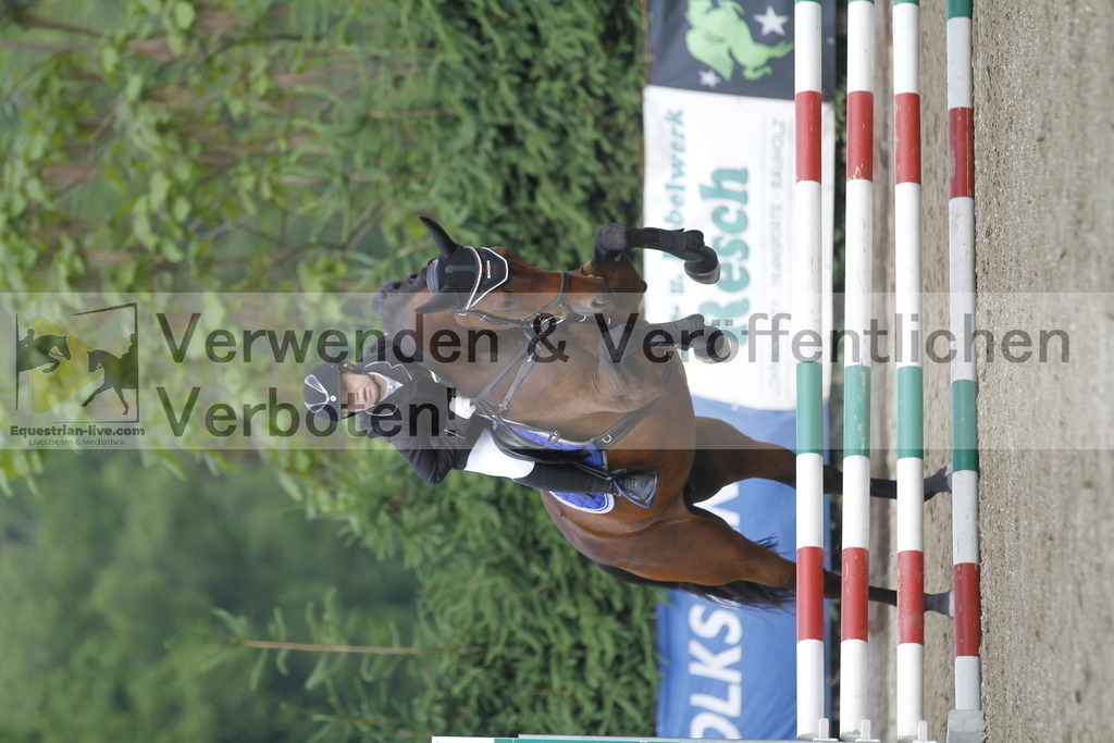 _MG_4486 | equestrian-live-com