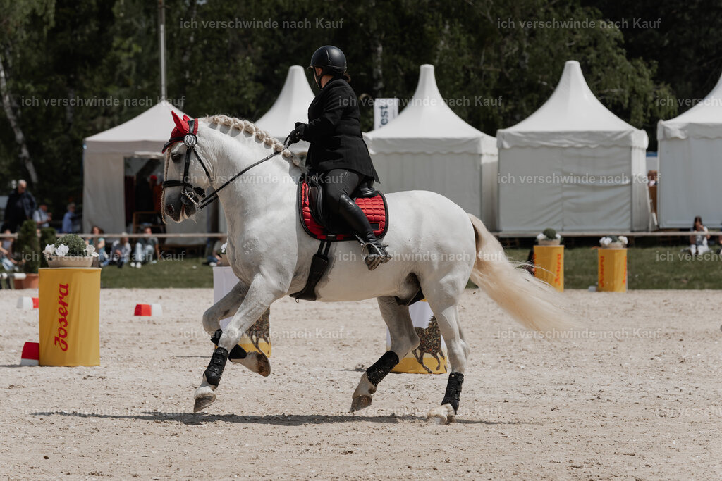 WE_ST_Stoib_307_PI2025_1165 | Pferd International München 2025