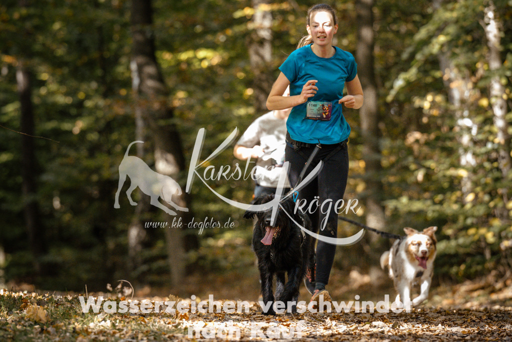 1309_ZZ97417 | kk-dogfotos