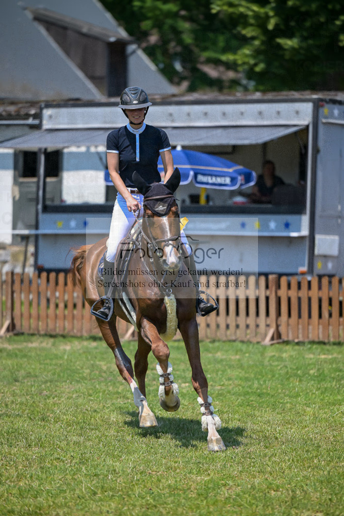 Reitturnier Voxtrup | Entdecke hochwertige Reitturnierfotos von Foto Oger. Professionell, emotional und authentisch – jetzt Lieblingsmomente im Shop bestellen.Deutschlandweite Turnierfotografie. - Realisiert mit Pictrs.com