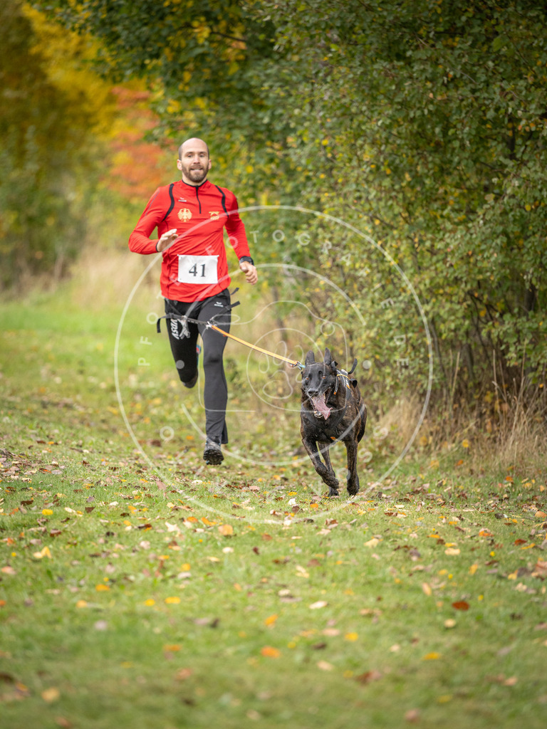 Pfotenfotografie_DV3A2288 | Hundefotografie, Tierfotograf, Pfotenfotografie, Fotoshooting Hund, Hunde Portrait, Hundesport, Hundeportraits, Heideshooting, Hunde, Sportfotograf, Hundefotograf, Turnierhundsport, THS,  - Realisiert mit Pictrs.com