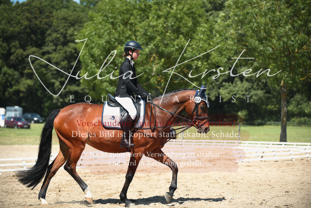 DSC_2246 | Pferde- und Turnierfotografie in Westsachsen. Pferdeportraits, Auftragszeichnungen und intuitive Kunst.