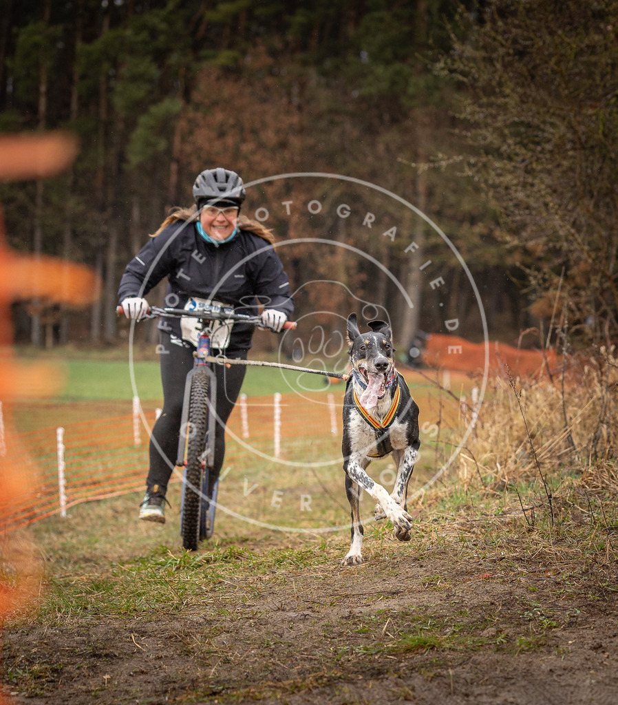 DV3A9435 | Hundefotografie, Tierfotograf, Pfotenfotografie, Fotoshooting Hund, Hunde Portrait, Hundesport, Hundeportraits, Heideshooting, Hunde, Sportfotograf, Hundefotograf, Turnierhundsport, THS,  - Realisiert mit Pictrs.com