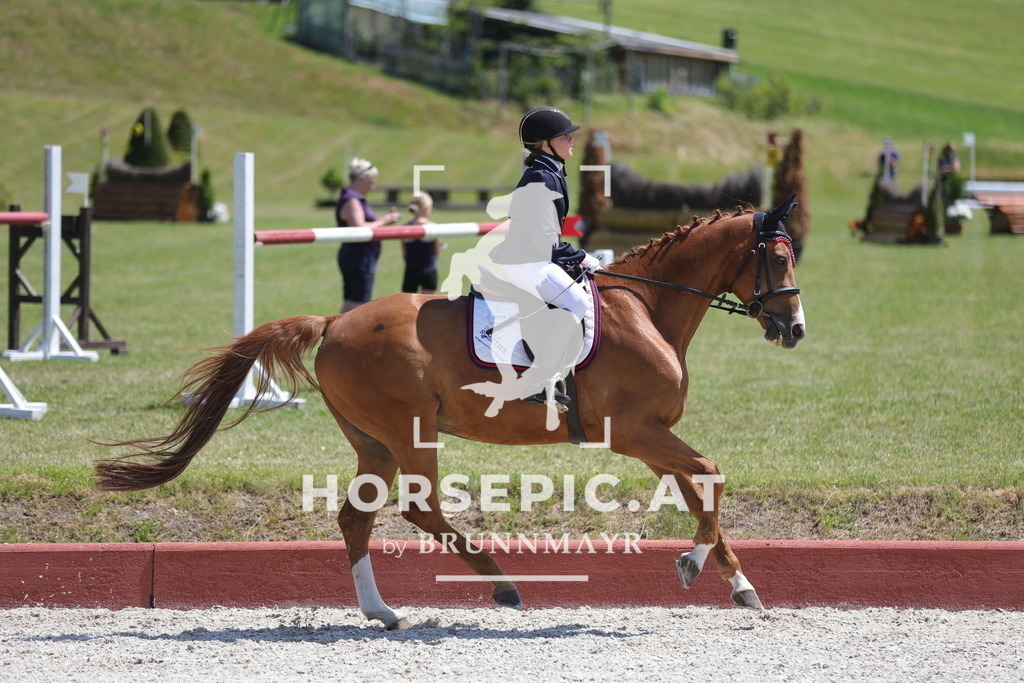 0P6A0904 | Willkommen bei Brunnmayr - Design & Fotografie – Ihrem Spezialisten für Reitturniere und Pferdeveranstaltungen in Oberösterreich, Salzburg und Bayern! Seit über 17 Jahren sind wir leidenschaftlich dabei.