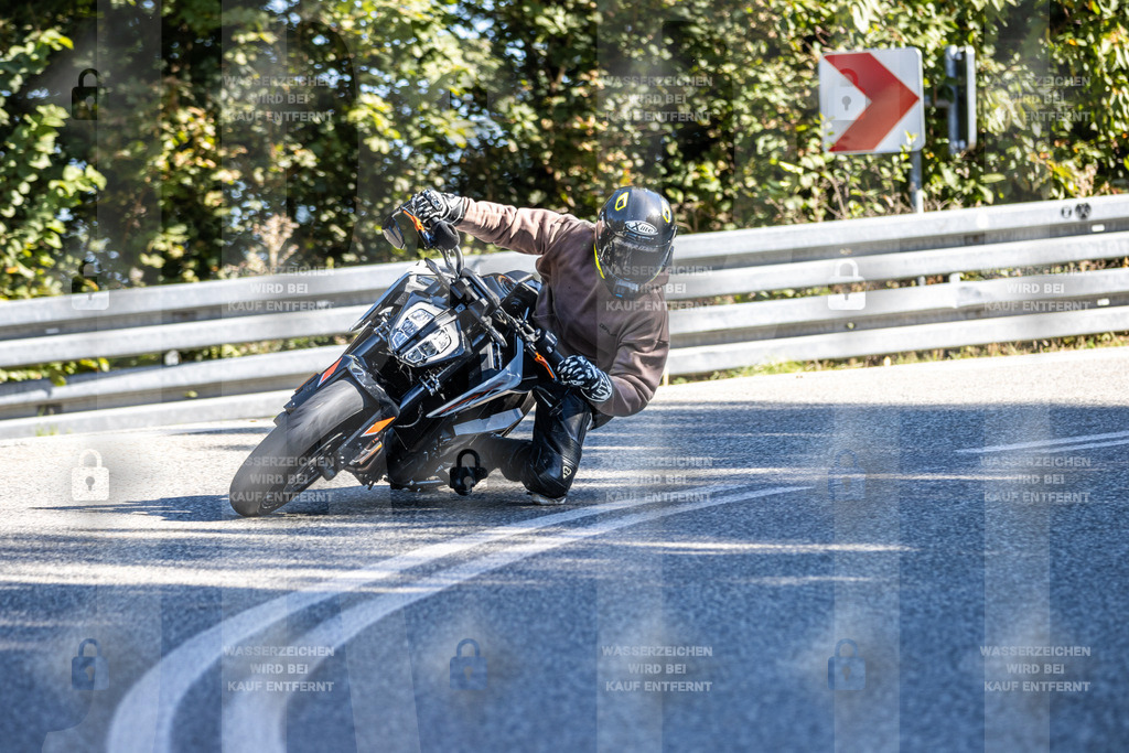 IMG_3405 | jrph - Realisiert mit Pictrs.com