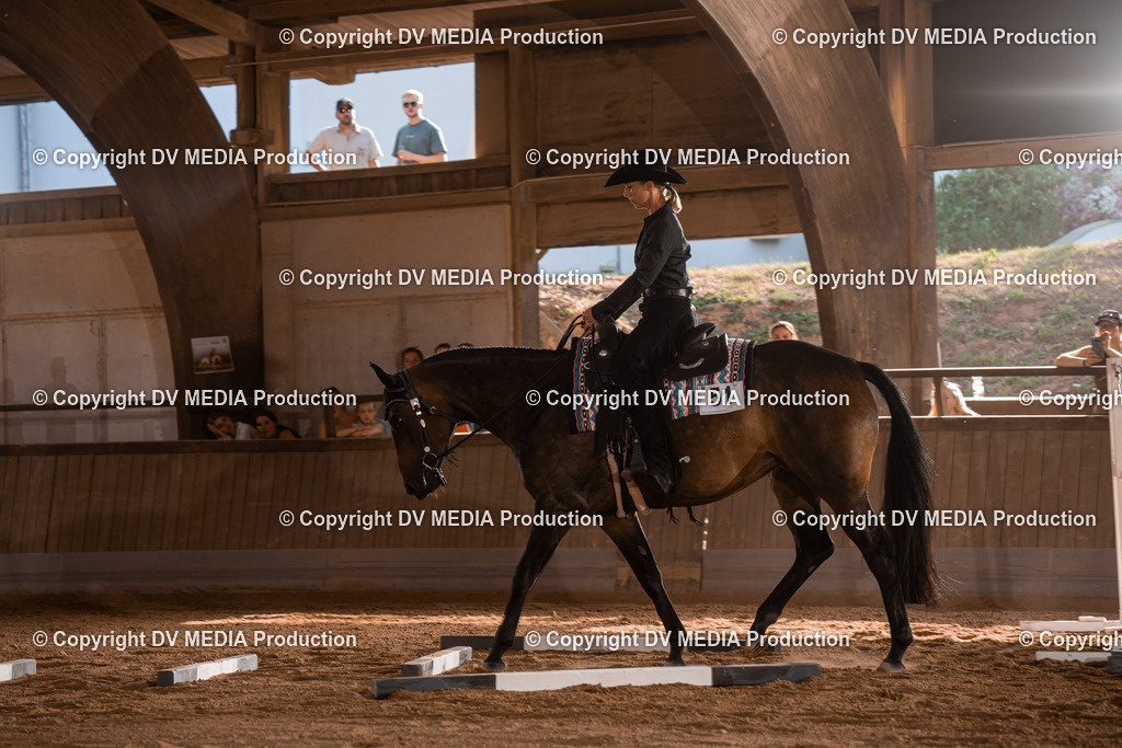 NE101203 | dv-media-shop - Realisiert mit Pictrs.com