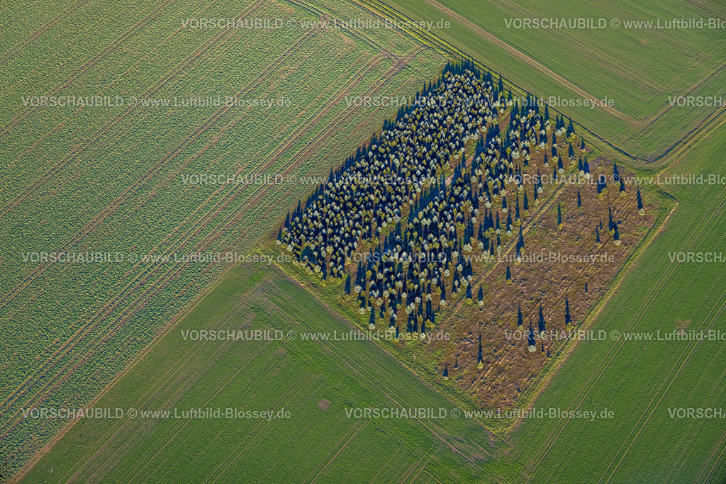Soest230206120 | Luftbild, Baum Parzelle, Lendringsen, Soest, Soester Börde, Nordrhein-Westfalen, Deutschland
