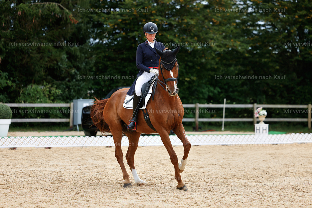 11-238-Dressur S___-StoibPH-990 | working equitationturnier fotograf videograf stoibphotography marixx film working equitation deutschland reitsport turnierfotografie eventfotografie equestrian events