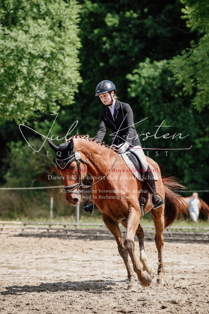 DSC_1362 | Pferde- und Turnierfotografie in Westsachsen. Pferdeportraits, Auftragszeichnungen und intuitive Kunst.