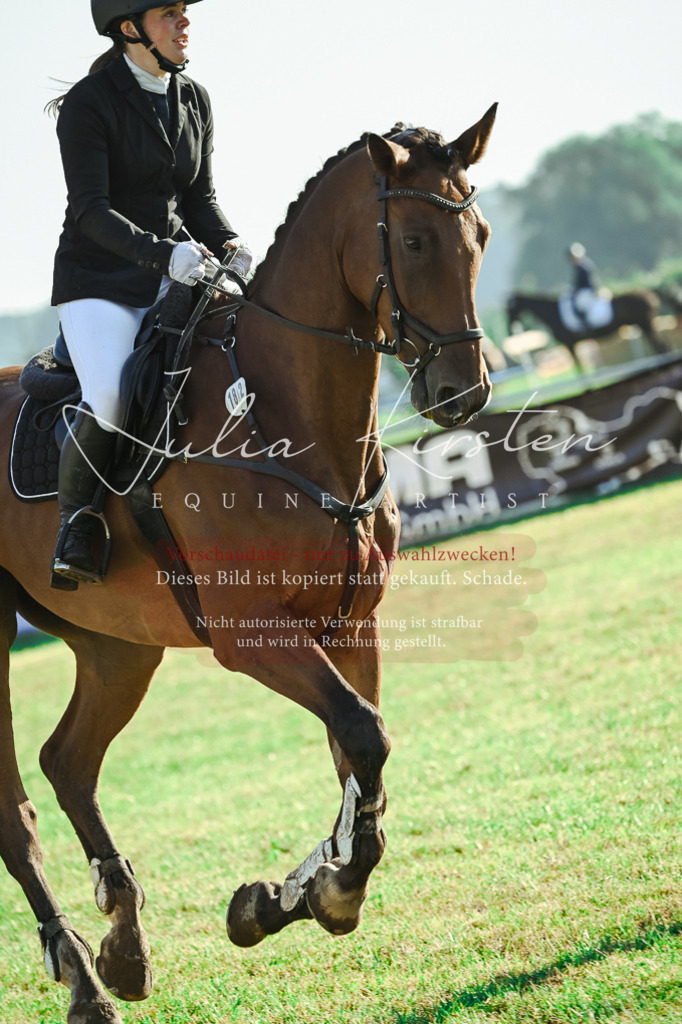 DSC_4523 | Pferde- und Turnierfotografie in Westsachsen. Pferdeportraits, Auftragszeichnungen und intuitive Kunst.