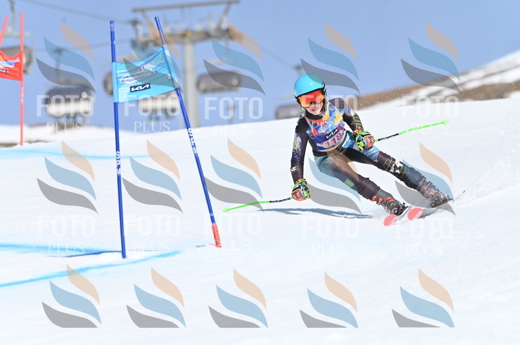 BGV_9773 | holidayphoto