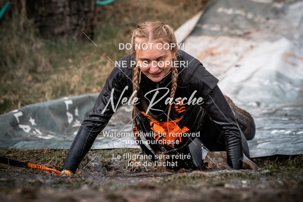 nelerasche_1330-1400_98 | nelerasche