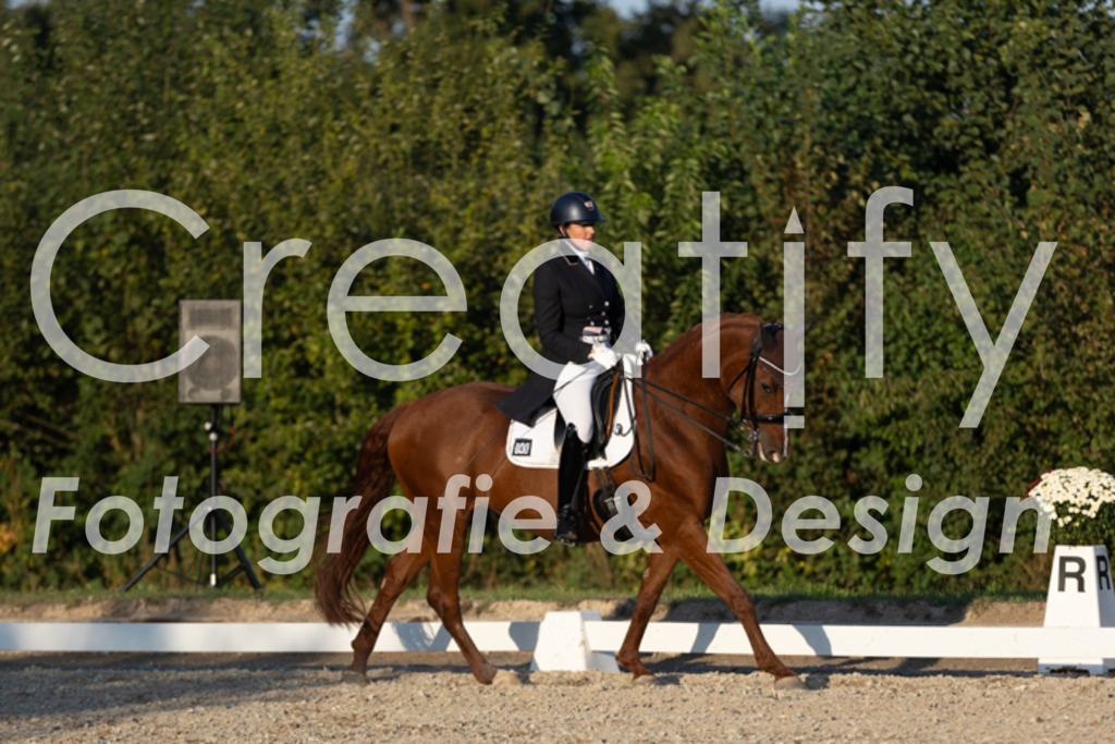 IMG_7270 | Creatify Fotografie