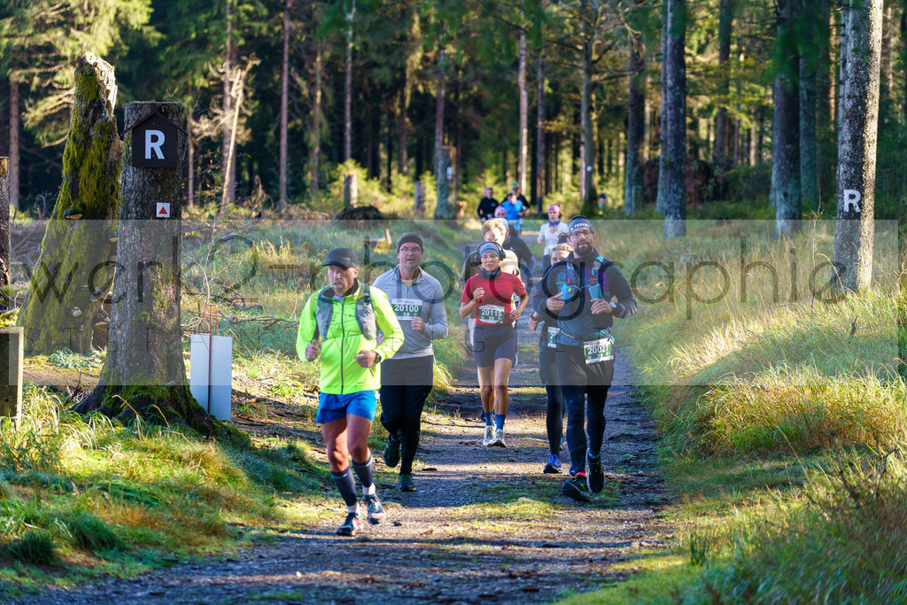 Herbstlauf 2024 | Rennsteig-Herbstlauf von Neuhaus am Rennweg nach Masserberg am 6. Oktober 2024