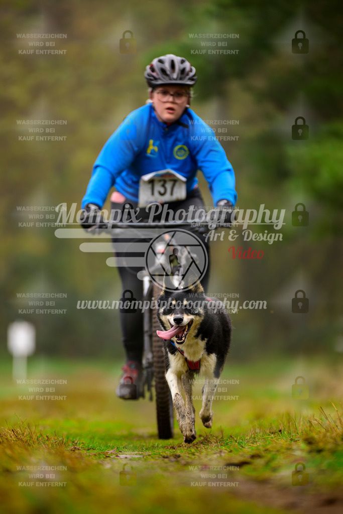 MompixPhotography_Bischwiller2025_Bike-105 | mompixphotography