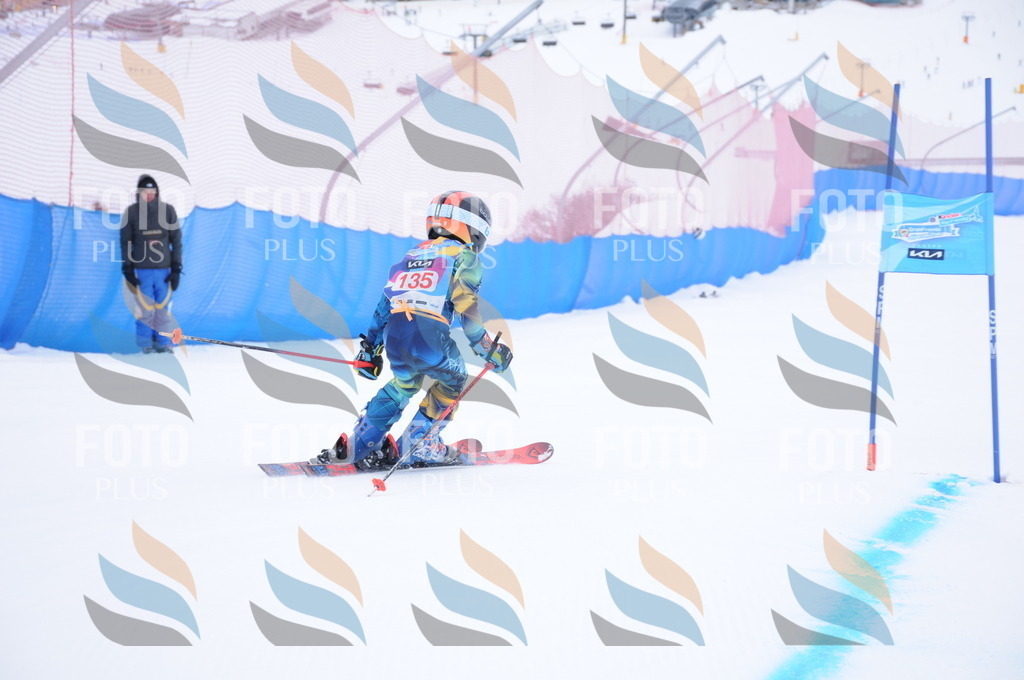 DSC_8633 | holidayphoto