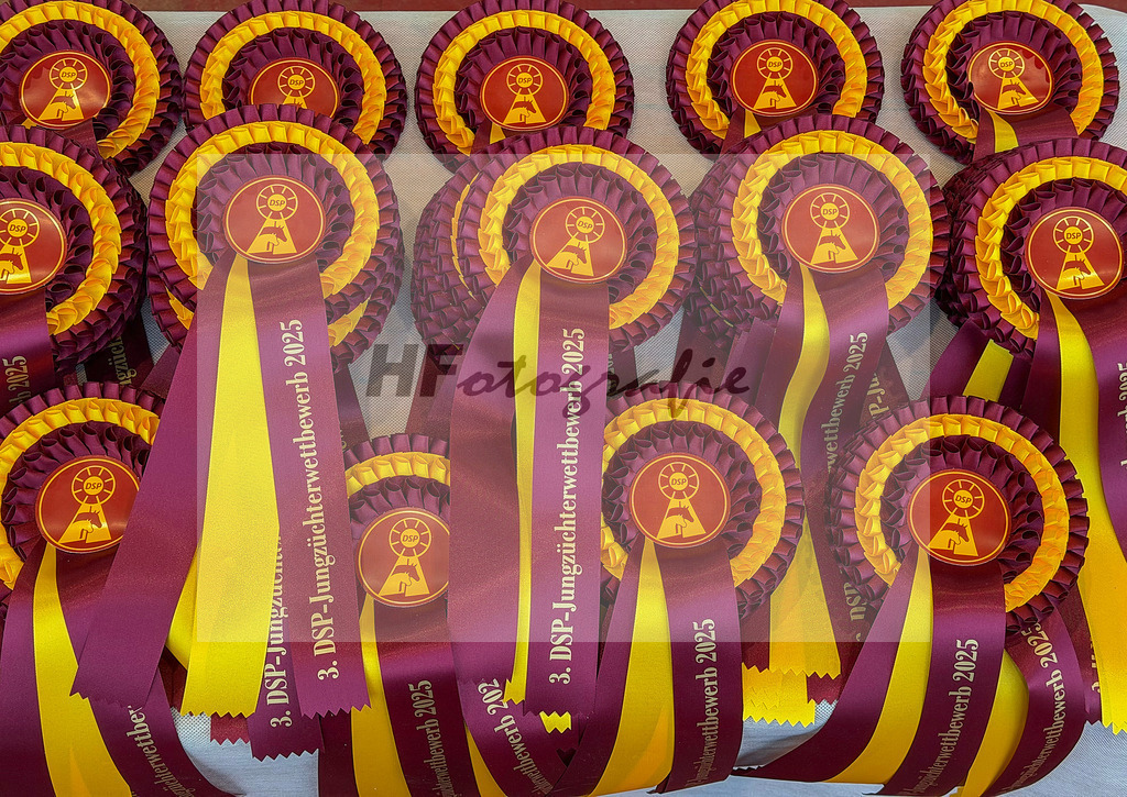 Jungzuechter_48255587 | hf-fotografie - Realisiert mit Pictrs.com