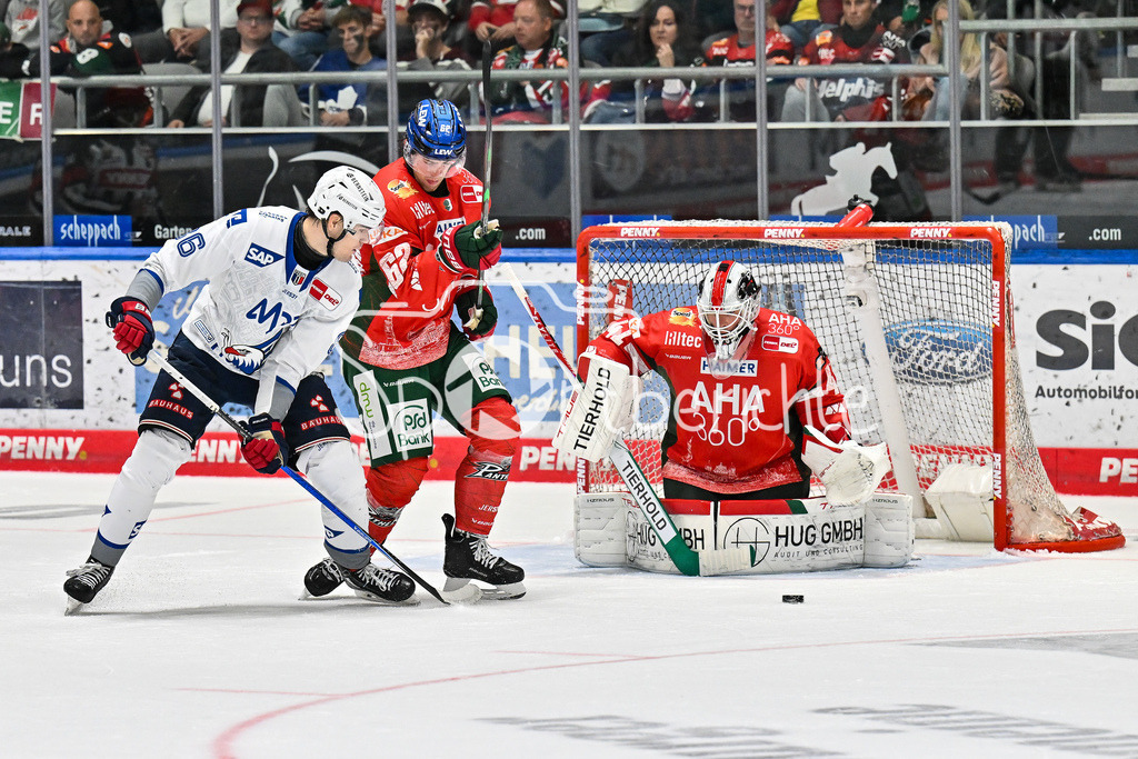 Augsburger Panther - Adler Mannheim | v. l. Hayden SHAW (Adler Mannheim 82), Thomas SCHEMITSCH (Augsburger Panther #62), Peyton JONES (Augsburger Panther 41) / Zweikampf / DEL: Augsburger Panther - Adler Mannheim; Curt Frenzel Stadion am 14.09.2025
