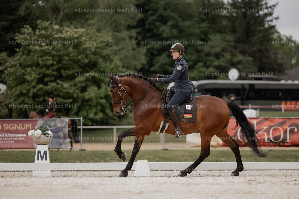 WE_DR_Stoib_340_ _PI2025_117 | Pferd International München 2025