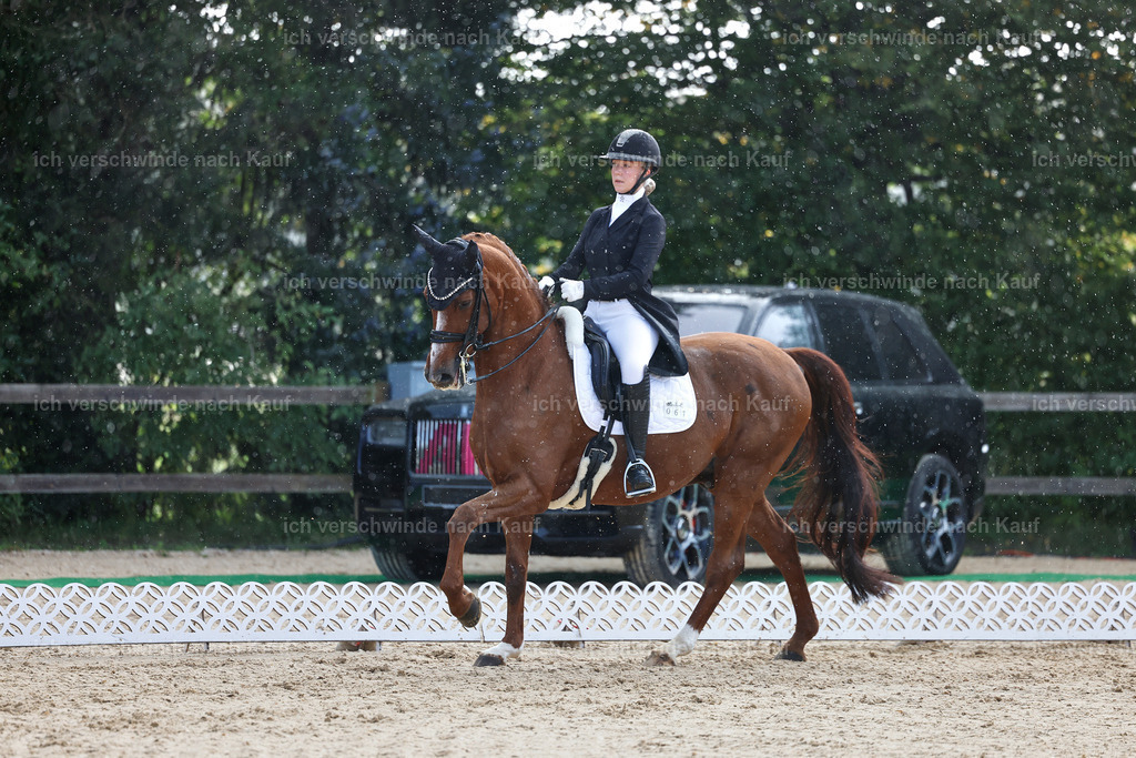 10-061-ST.GEORG SPECIAL -StoibPH-3154 | working equitationturnier fotograf videograf stoibphotography marixx film working equitation deutschland reitsport turnierfotografie eventfotografie equestrian events