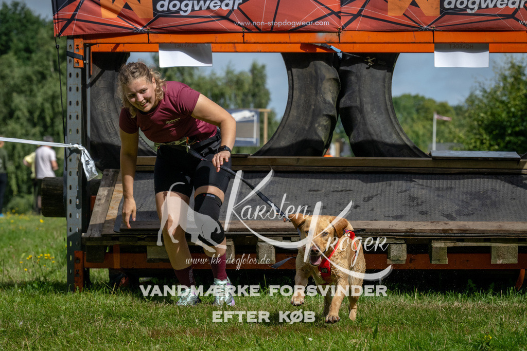 1131_ZZ92370 | kk-dogfotos