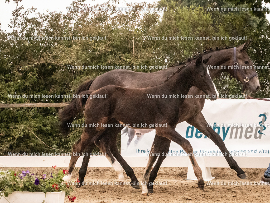 A10I1694 | photographylinaismer - Realisiert mit Pictrs.com