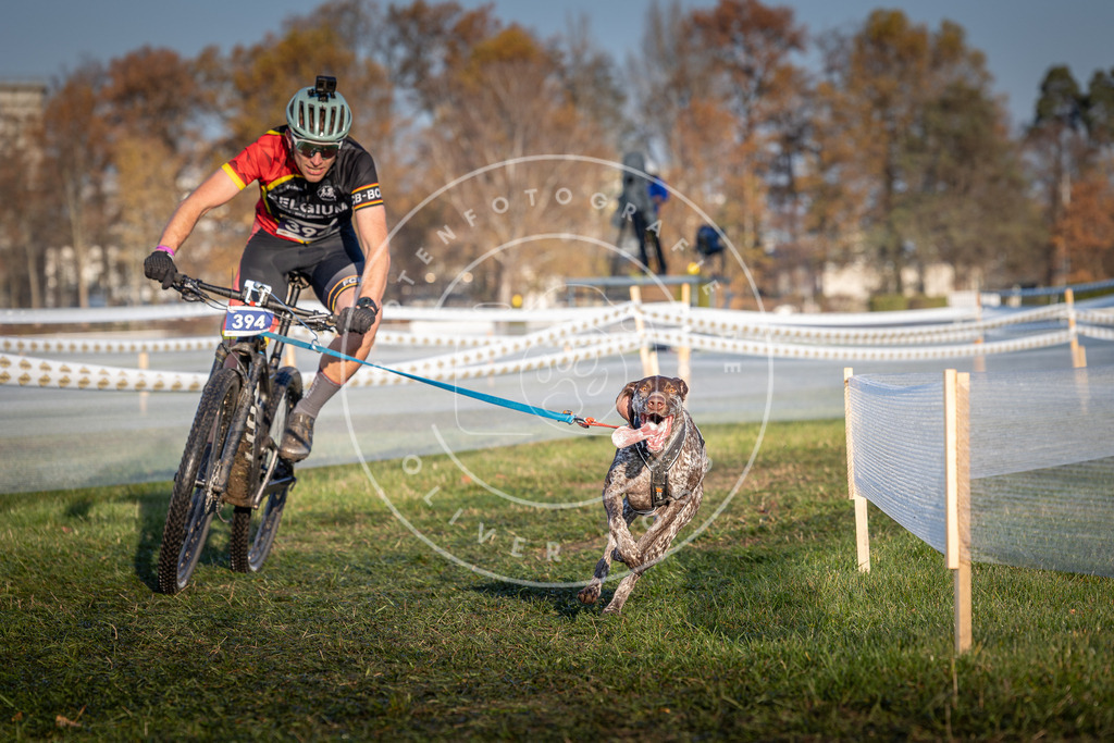 CaniXpix_0L8A3879 | Hundefotografie, Tierfotograf, Pfotenfotografie, Fotoshooting Hund, Hunde Portrait, Hundesport, Hundeportraits, Heideshooting, Hunde, Sportfotograf, Hundefotograf, Turnierhundsport, THS,  - Realisiert mit Pictrs.com