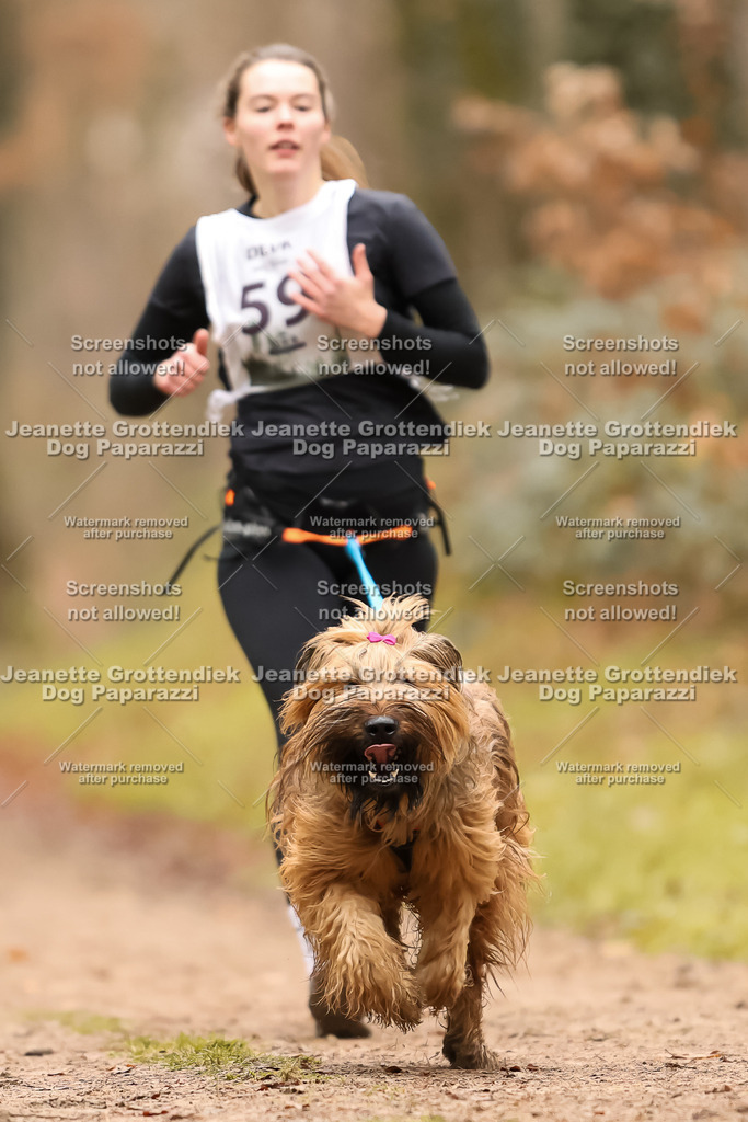 Dog Paparazzi - Speedhunter Mannheim  2025-171 | Dog Paparazzi Jeanette Grottendiek Fotografie & Videografie