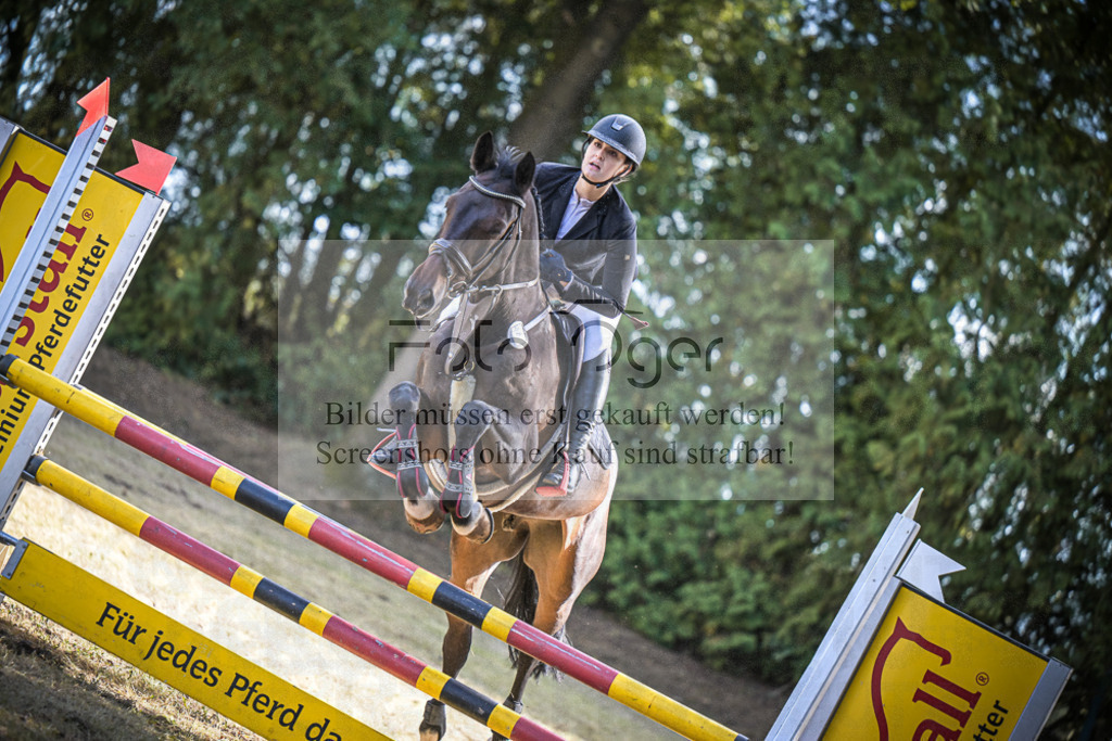 DOS_0880 | Entdecke hochwertige Reitturnierfotos von Foto Oger. Professionell, emotional und authentisch – jetzt Lieblingsmomente im Shop bestellen.Deutschlandweite Turnierfotografie. - Realisiert mit Pictrs.com