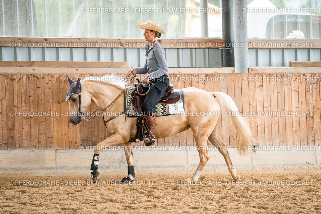 DSC00644 | Pferdegrafie