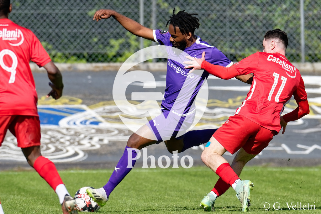 DSC_6905_M | Velletri Photo