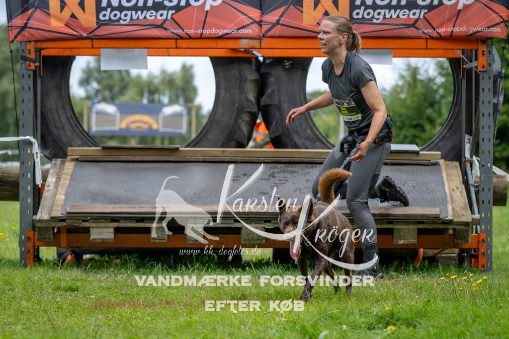 1151_ZZ93117 | kk-dogfotos