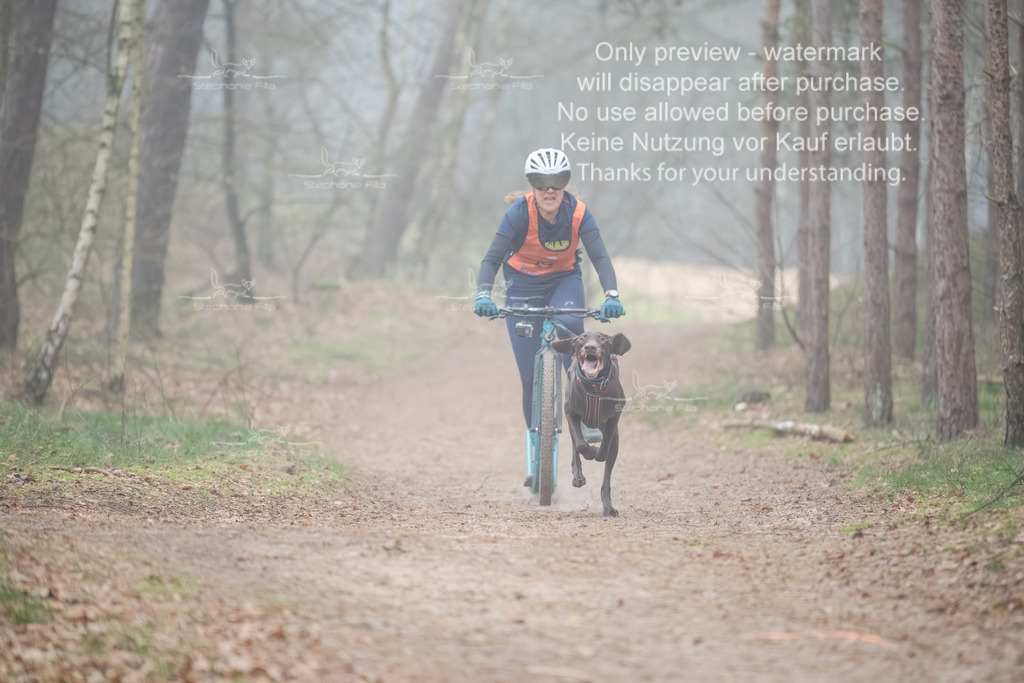 Scooter1-110 | stephaniefillaphotographie - Realisiert mit Pictrs.com