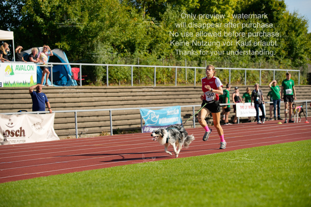 Sonntag_Staffel (193 von 336) | stephaniefillaphotographie - Realisiert mit Pictrs.com