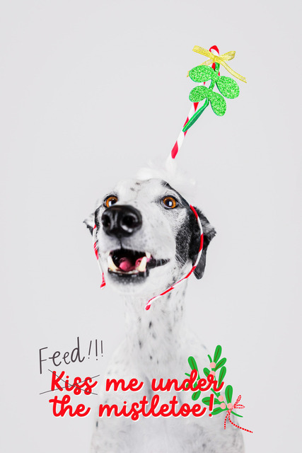 PK Patch_Mistelzweig | Lizbeth Hundefotografie