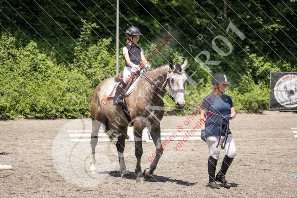 IMG_3416 | Sport-, Event- und Tierfotos in Profiqualität. Einfach auswählen, bestellen und herunterladen. Dein Moment – perfekt festgehalten.