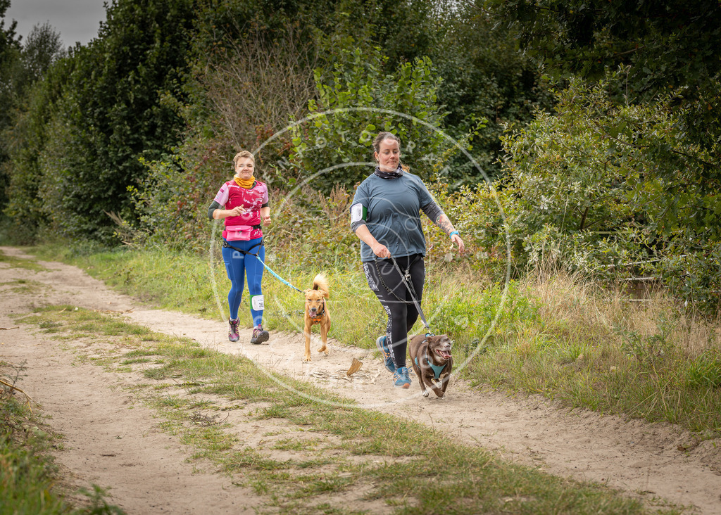 Pfotenfotografie_DV3A8015 | Hundefotografie, Tierfotograf, Pfotenfotografie, Fotoshooting Hund, Hunde Portrait, Hundesport, Hundeportraits, Heideshooting, Hunde, Sportfotograf, Hundefotograf, Turnierhundsport, THS,  - Realisiert mit Pictrs.com