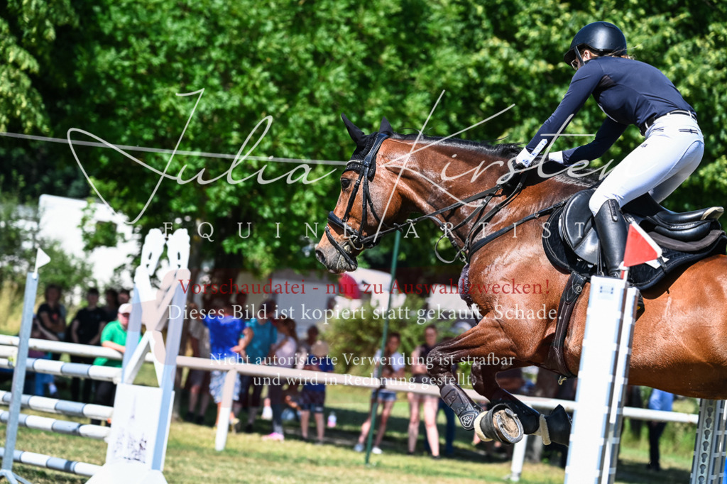 DSC_1544 | Pferde- und Turnierfotografie in Westsachsen. Pferdeportraits, Auftragszeichnungen und intuitive Kunst.