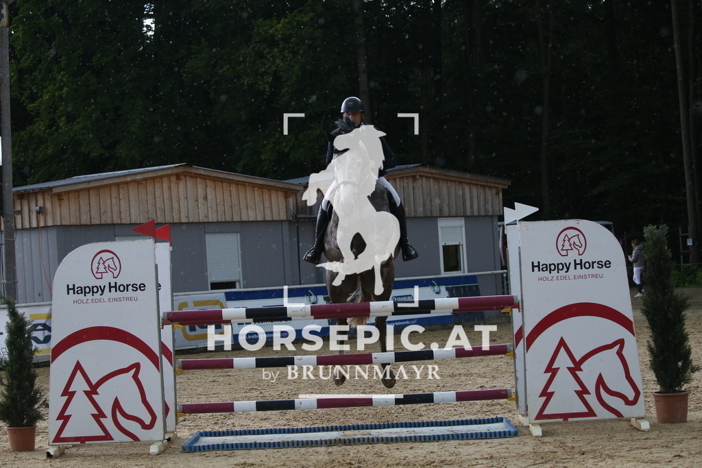 DL2Q2188 | Willkommen bei Brunnmayr - Design & Fotografie – Ihrem Spezialisten für Reitturniere und Pferdeveranstaltungen in Oberösterreich, Salzburg und Bayern! Seit über 17 Jahren sind wir leidenschaftlich dabei.