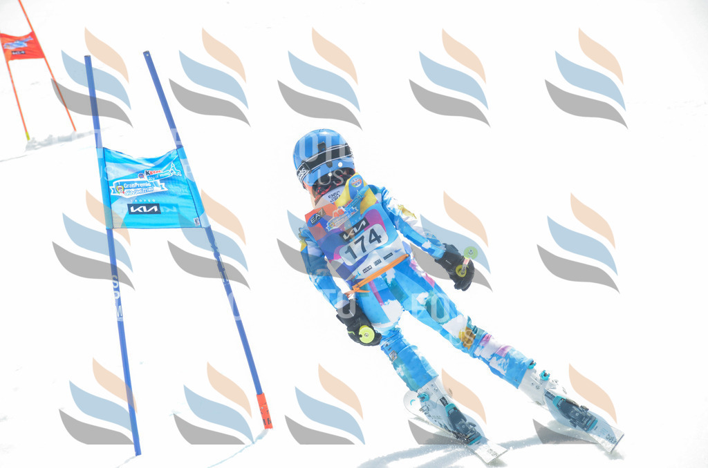 _ELE6598 | holidayphoto