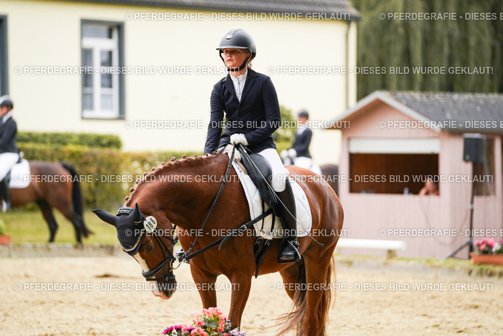 DSC09842 | Pferdegrafie