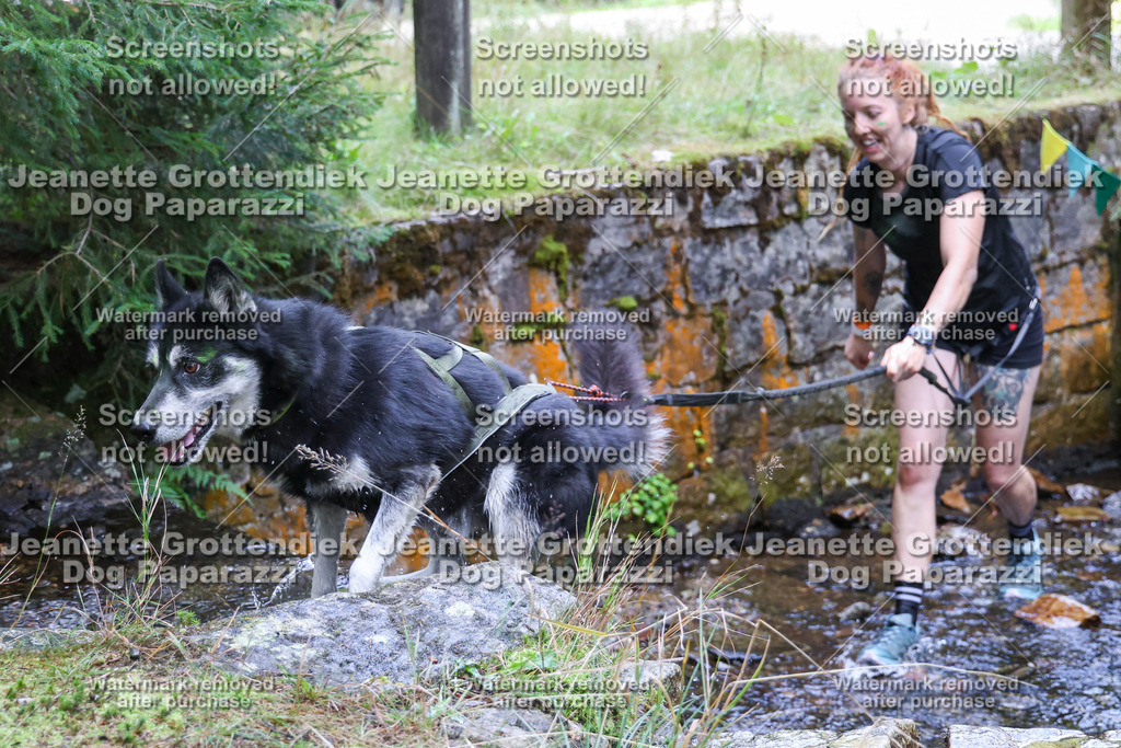 Dog Paparazzi -  TH 26-592 | Dog Paparazzi Jeanette Grottendiek Fotografie & Videografie - Realisiert mit Pictrs.com