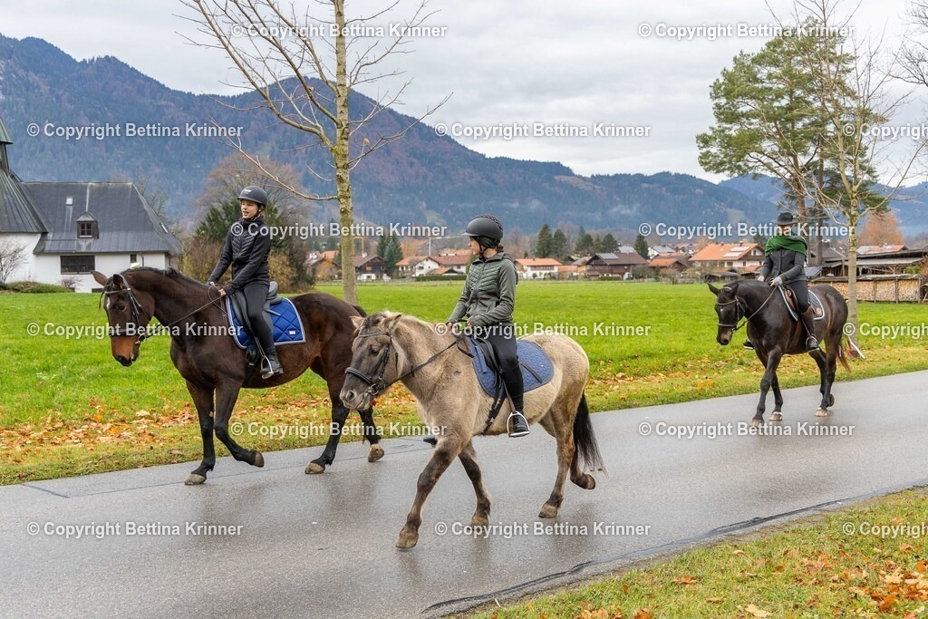 LL25-62 | foto-bettina-krinner - Realisiert mit Pictrs.com