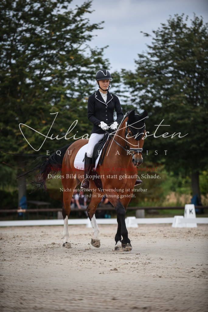 DSC_8250 | Pferde- und Turnierfotografie in Westsachsen. Pferdeportraits, Auftragszeichnungen und intuitive Kunst.