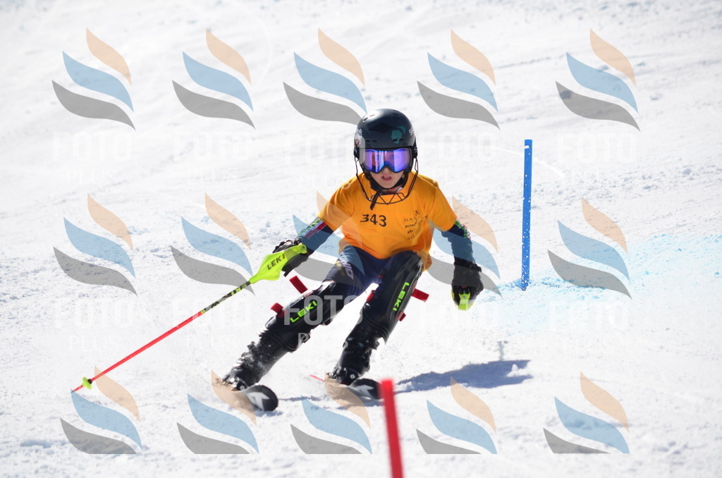 C9746 | holidayphoto