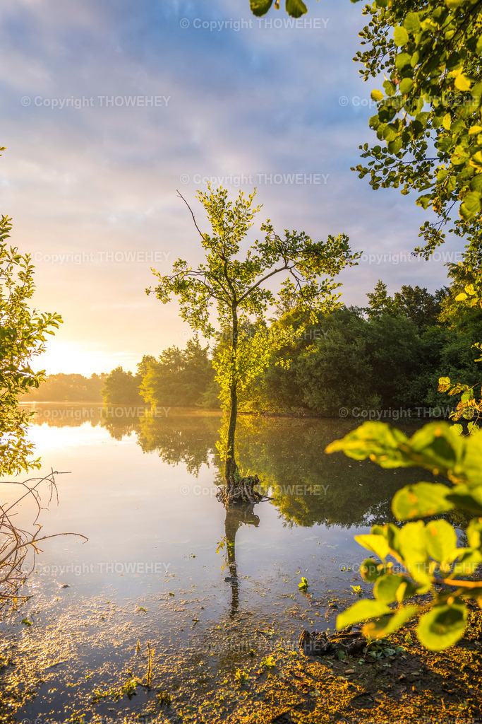 _1040343 | thowehey - Realisiert mit Pictrs.com